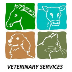 Ветеринарная клиника «Veterinary Service»